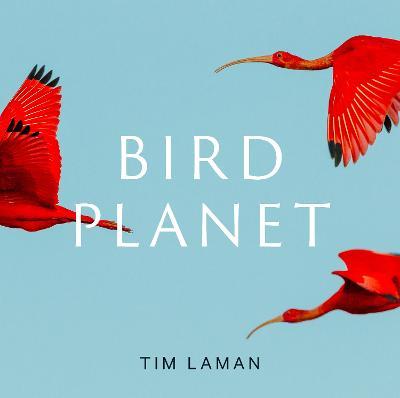 Bird Planet : A Photographic Journey - MPHOnline.com