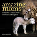 Amazing Moms : Love and Lessons From the Animal Kingdom - MPHOnline.com