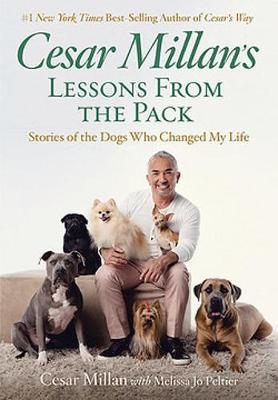 Cesar Millan's Lessons From the Pack - MPHOnline.com