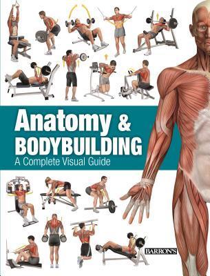 Anatomy & Bodybuilding: A Complete Visual Guide - MPHOnline.com