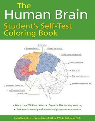 Human Brain Student`S Self-Test Coloring - MPHOnline.com