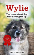 WYLIE: THE BRAVE STREET DOG WHO NEVER GAVE UP - MPHOnline.com