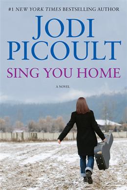 Sing You Home: A Novel - MPHOnline.com