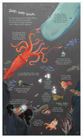 Look Inside Seas and Oceans - MPHOnline.com