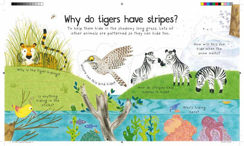 Lift-the-Flap First Questions and Answers: Why Do Tigers Have Stripes? - MPHOnline.com