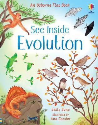 See Inside Evolution (Usborne Flap Book) - MPHOnline.com