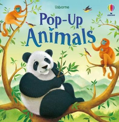 Usborne Pop-Up Animals - MPHOnline.com