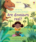 Usborne Lift-The-Flap Very First Q&A Are Dinosaurs Real? - MPHOnline.com