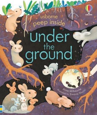 Usborne Peep Inside: Under The Ground - MPHOnline.com