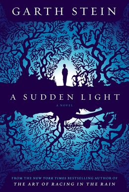 A Sudden Light: A Novel - MPHOnline.com