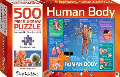 Human Body 500 Piece Jigsaw Puzzle - MPHOnline.com