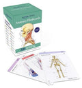 Anatomy Flashcards 4ed - MPHOnline.com