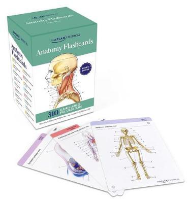 Anatomy Flashcards 4ed - MPHOnline.com