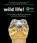 Wild Life! - MPHOnline.com