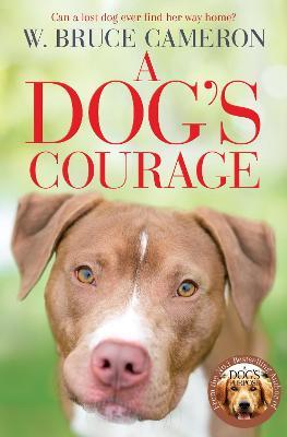A Dog's Courage - MPHOnline.com