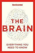 The Brain : Everything You Need to Know - MPHOnline.com