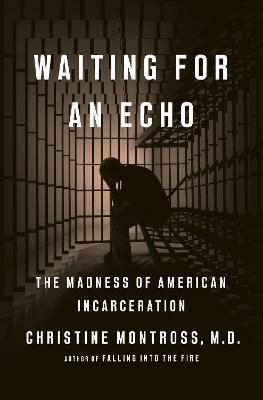 Waiting for an Echo : The Madness Of American Incarceration - MPHOnline.com