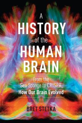 History of the Human Brain : From The Sea Sponge To CRISPR, How Our Brain Evolved - MPHOnline.com