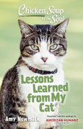 CS For The Soul: Lessons From My Cat - MPHOnline.com