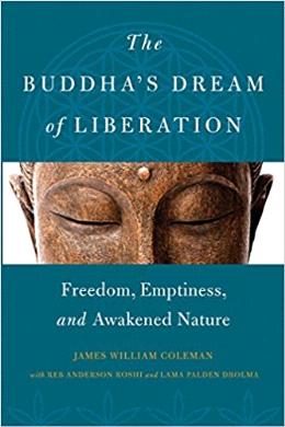 The Buddha's Dream of Liberation: Freedom, Emptiness, and Awakened Nature - MPHOnline.com