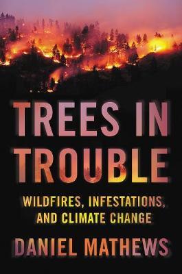 Trees In Trouble : Wildfires, Infestations, and Climate Change - MPHOnline.com