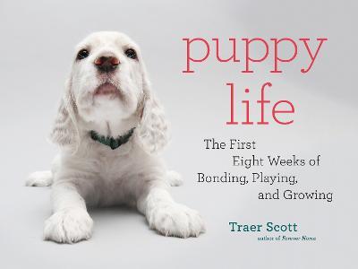 Puppy Life : The First Eight Weeks of Bonding, Playing, and Growing - MPHOnline.com