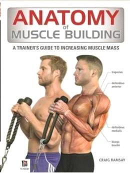 Anatomy of Muscle Building - MPHOnline.com