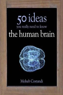 50 Human Brain Ideas You Really Need to Know - MPHOnline.com