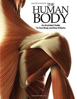 The Human Body - MPHOnline.com