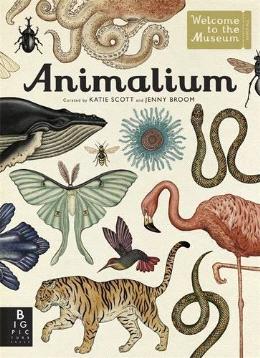 Animalium (Welcome to the Museum) - MPHOnline.com