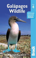 Galapagos Wildlife - MPHOnline.com