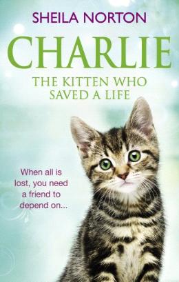 Charlie The Kitten Who Saved A Life - MPHOnline.com