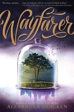 Wayfarer ( Passenger #2 ) - MPHOnline.com
