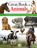 Great Book Of Animals - MPHOnline.com