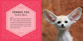 The World's Cutest Animals, 1E - MPHOnline.com