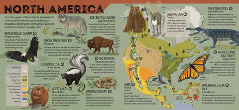 Animal Atlas, 1E - MPHOnline.com