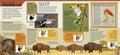 Animal Atlas, 1E - MPHOnline.com