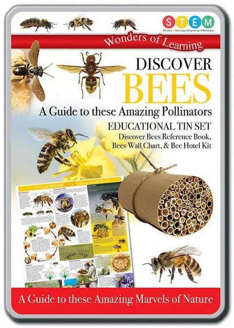 Wonders of Learning: Discover Bees - MPHOnline.com