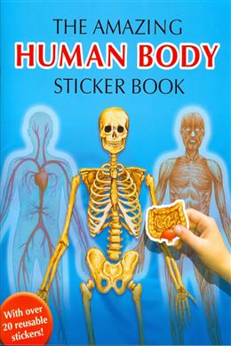 The Amazing Human Body Sticker Book (with Over 20 Reusable Stickers!) - MPHOnline.com