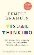 Visual Thinking : The Hidden Gifts of People Who Think in Pictures, Patterns and Abstractions - MPHOnline.com