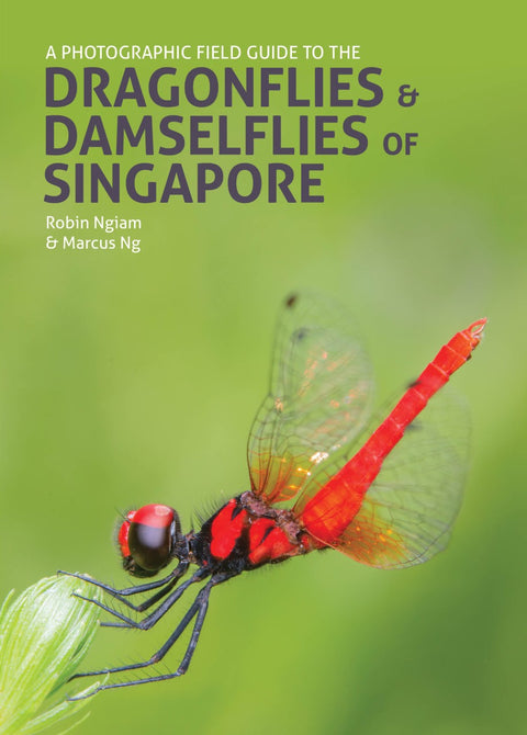 A Photographic Field Guide to the Dragonflies & Damselflies of Singapore - MPHOnline.com