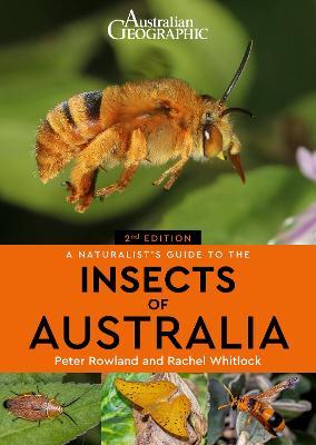 A Naturalist's Guide to the Insects of Australia, 2E - MPHOnline.com