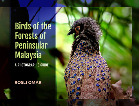 Birds of the Forests of Peninsular Malaysia - MPHOnline.com