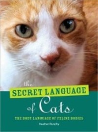 Secrets Language of Cats: The Body Language of Feline Bodies - MPHOnline.com