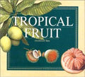 TROPICAL FRUIT - MPHOnline.com