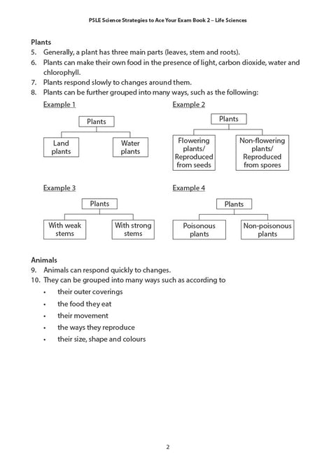 PSLE Science : Strategies to Ace Your Exam Book 2 - Life Sciences - MPHOnline.com