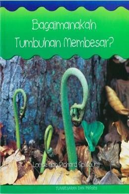 Bagaimanakah Tumbuhan Membesar? - MPHOnline.com