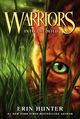 Warriors Vol 1: Into The Wild