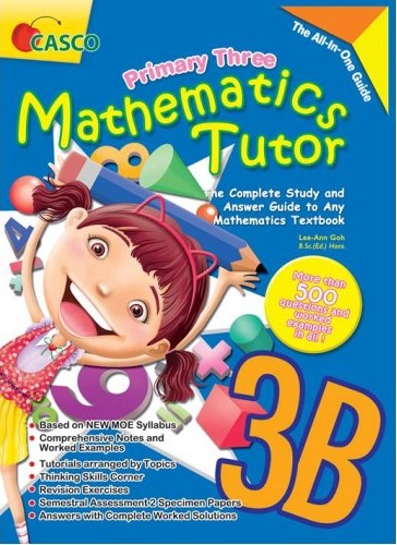 Primary 3B Mathematics Tutor