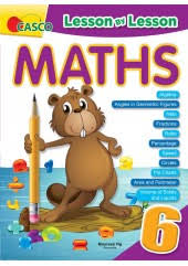 Primary 6 Lesson By Lesson Maths